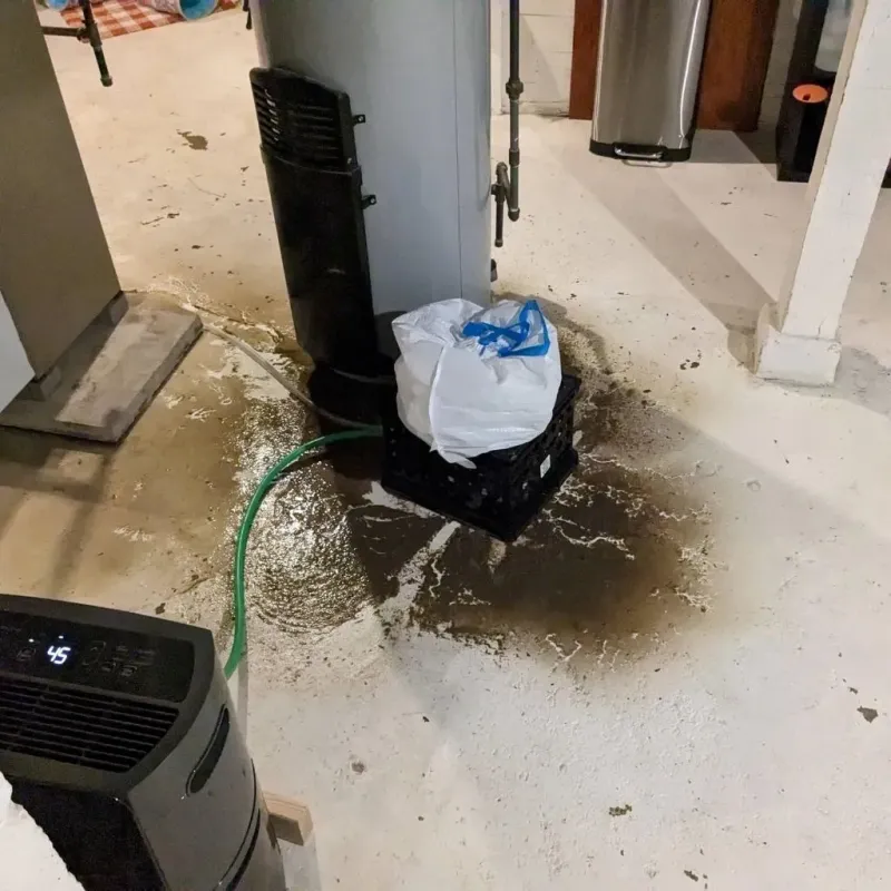 Sewage Backup Cleanup Service in Friedensburg, PA
